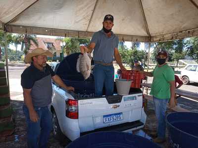 Feira do peixe vivo e RÃ£ de Virmond comercializou mais de 150 kg